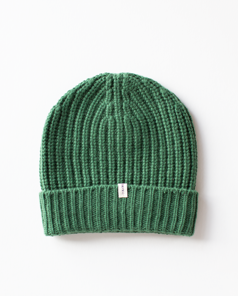 Ribbed Beanie in Swamp