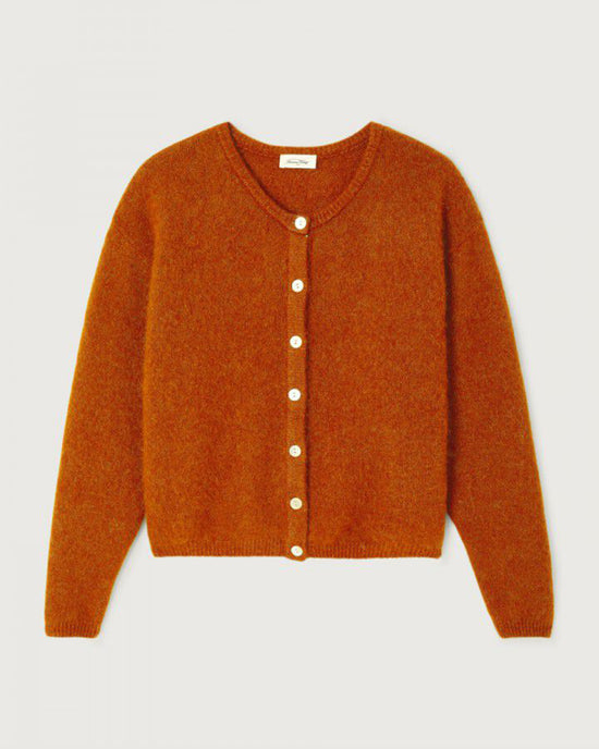 The American Vintage Vito Cardigan in Cuivre Chine, a burnt orange, long-sleeved wool alpaca style with white buttons, features a round neckline and soft textured fabric. Displayed flat on an off-white background with a vintage-inspired silhouette.