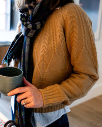 Autumn Cashmere Cable Yoke Crew in Honey 2 - Bliss Boutiques