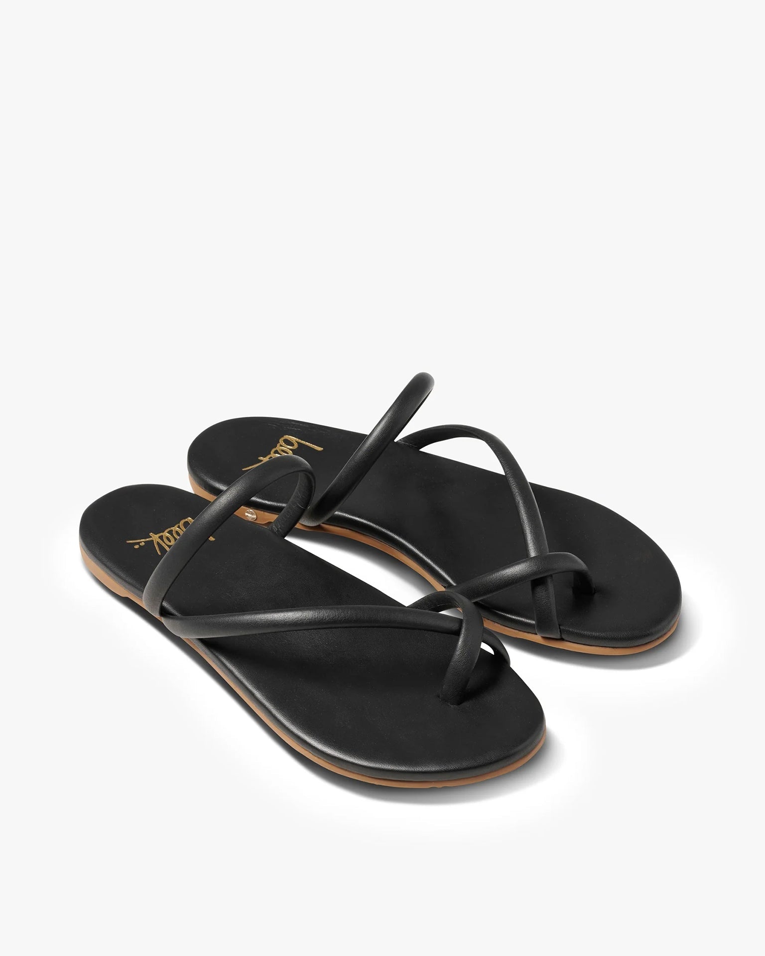 Sunbird in Black