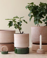 Bergs Potter Hoff Raw Candleholder in Rosa 