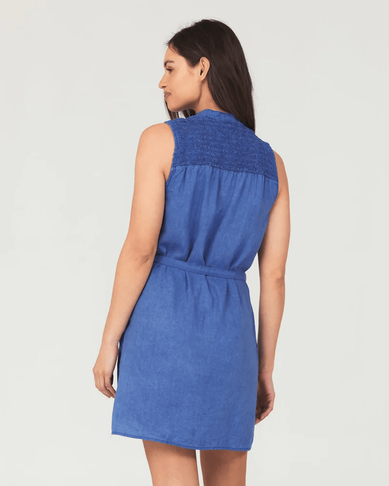 Bella Dahl Clothing Smocked Yoke Mini Dress in Spring Navy
