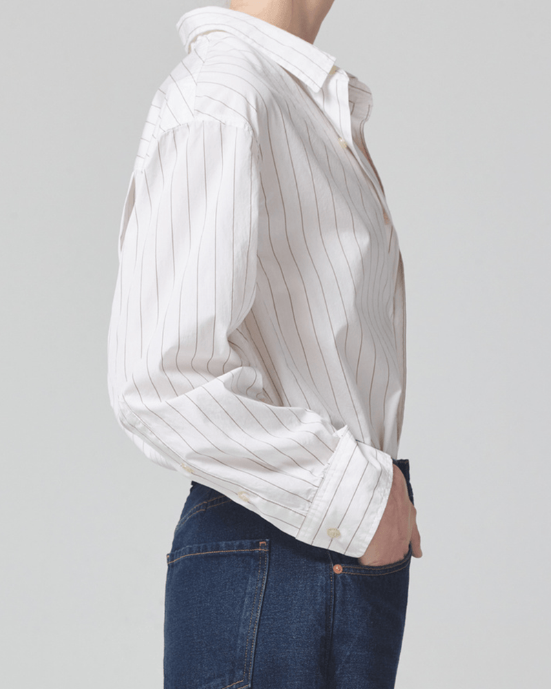 Citizens of Humanity Clothing Kayla Shirt in Bitter Chocolate Stripe