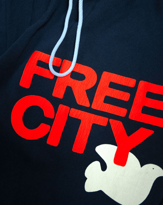 Free City Clothing Large Sweatpant in Squids Electric