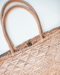 Dragon Diffusion Accessories Natural NS Corso Bag in Natural