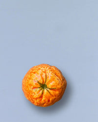 Eturel Madrid Home Ceramic Tangerine