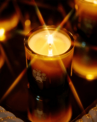 Flamingo Estate Climbing Tuscan Rosemary Candle 