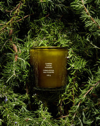 Flamingo Estate Climbing Tuscan Rosemary Candle 