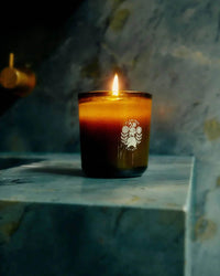 Flamingo Estate Home Douglas Fir & Ancient Vetiver Candle