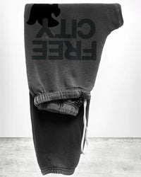 Free City Freecity Large Sweatpant in Spacerocks 1 - Bliss Boutiques