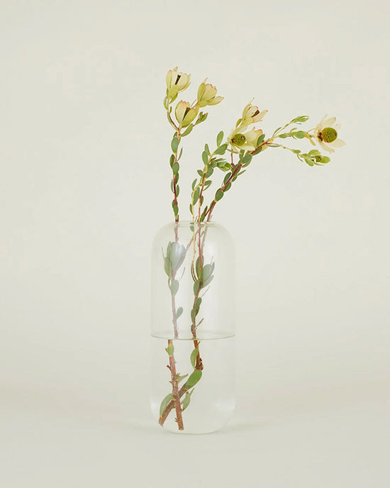 Hawkins New York Home Aurora Pill Vase in Clear