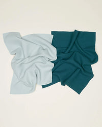 Hawkins New York Home Set of 2 Essential Waffle Dish Towels - Sky + Peacock