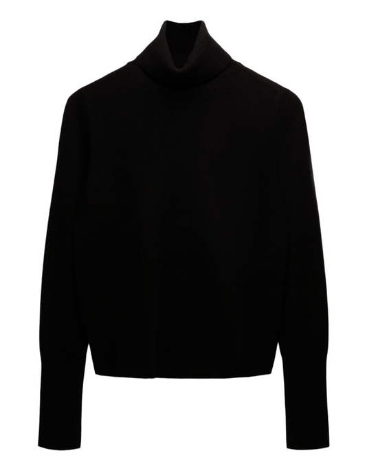 Not Monday Hayden Turtleneck in Black 