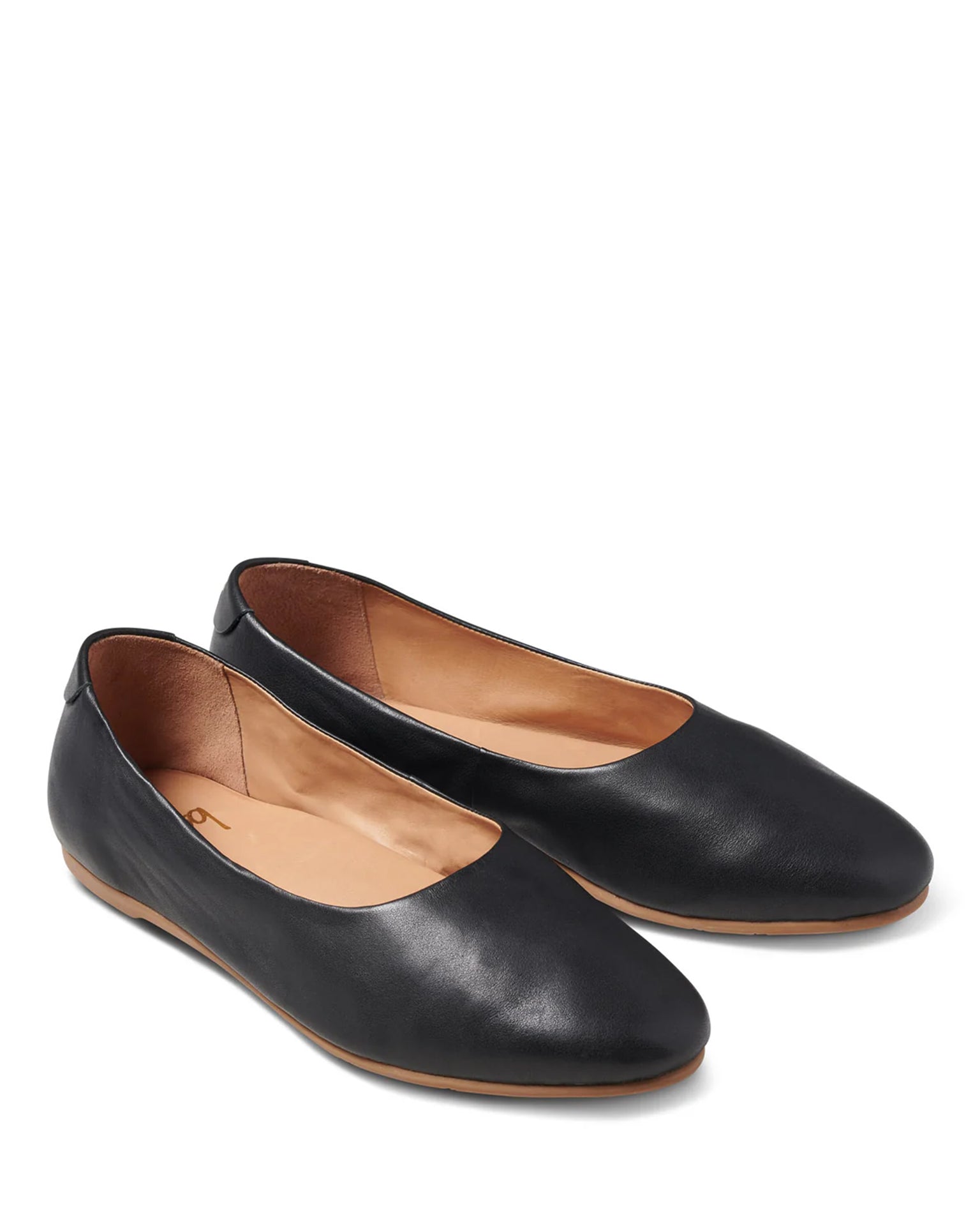 Swiftlet in Black