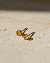Token Jewelry November Birthstone Studs in 14K Gold Fill 