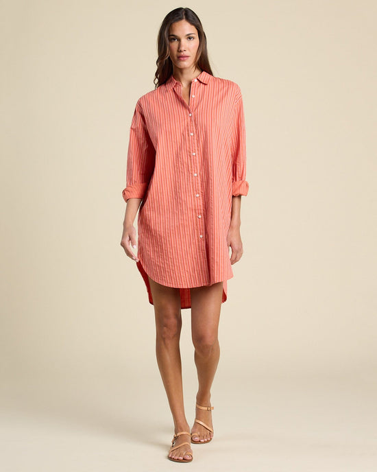Trovata Birds of Paradis Callie Shirtdress in Terracotta Stripe 
