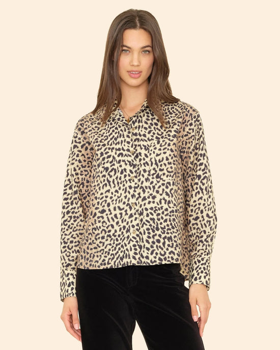 XiRENA Monroe Shirt in Calico 