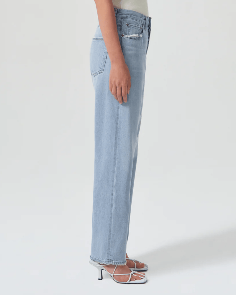 AGOLDE Denim 90's Jean in Reputation