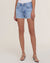 AGOLDE Denim Parker Vintage Cut Off Short in Swapmeet