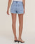 AGOLDE Denim Parker Vintage Cut Off Short in Swapmeet