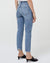 AGOLDE Denim Riley Crop in Endless