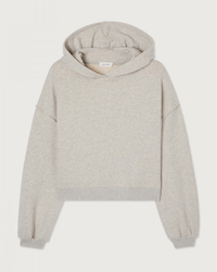 American Vintage Clothing Hoodie in Gris Clair