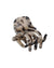 Machete Accessories Ash Blonde Tortoise Mini Claw in Ash Blonde Tortoise