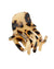 Machete Accessories Blonde Tortoise / O/S Mini Claw in Blonde Tortoise